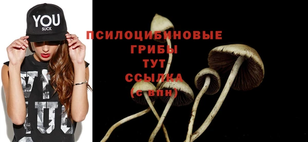 таблы Новодвинск