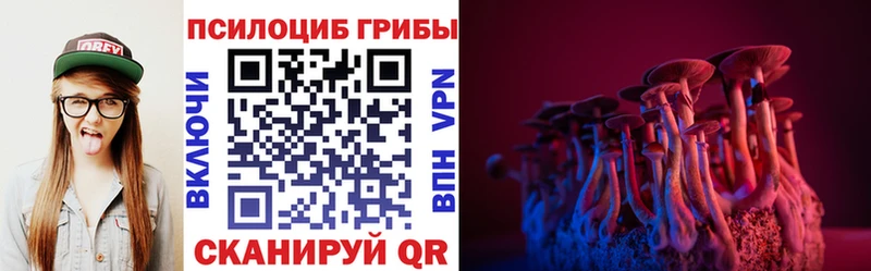Галлюциногенные грибы Psilocybe Янаул