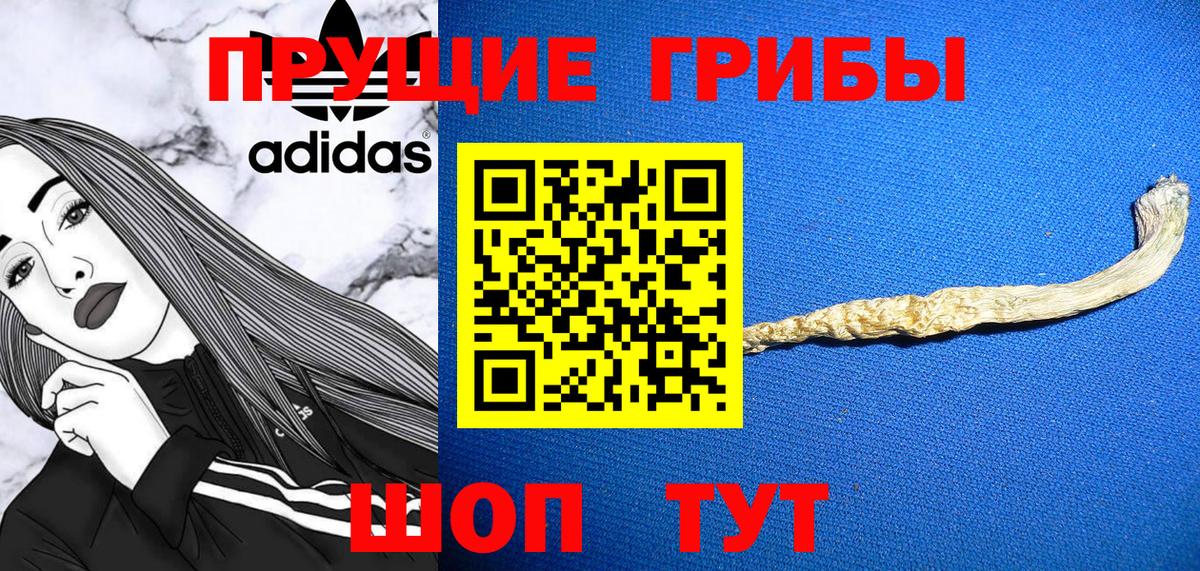 Псилоцибиновые грибы GOLDEN TEACHER  Вход с VPN  Янаул 
